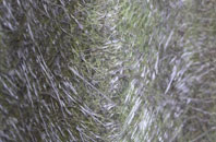 Crock Street fibreglass roof work